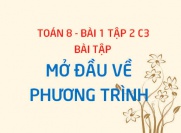 Bài tập mở đầu về phương trình (PT một ẩn, PT tương đương) - Toán 8 bài 1 tập 2 chương 3